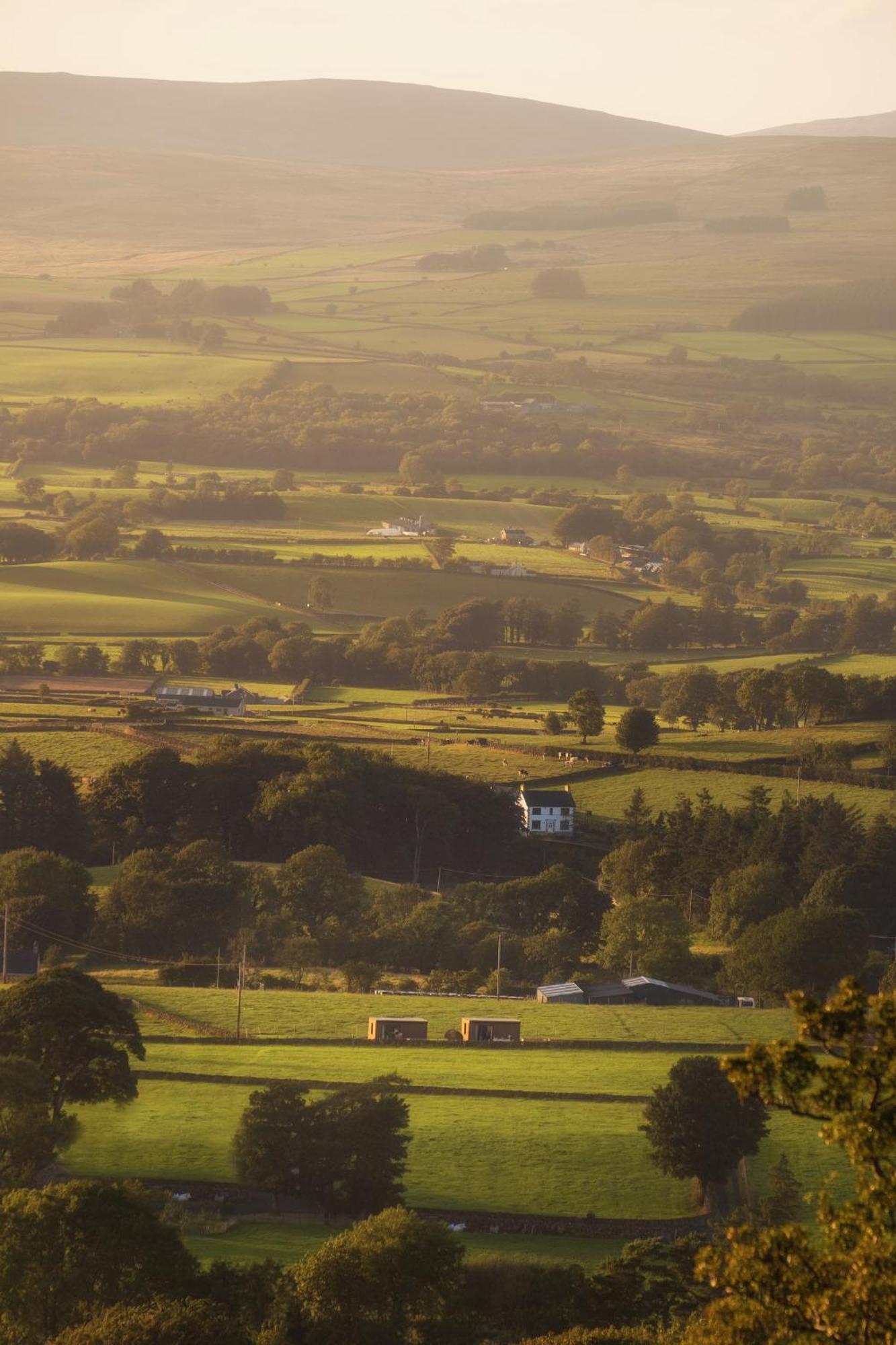 Slemish Hideaway - Funky Pheasant Villa Broughshane Exteriör bild